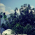 @genmaicha@stereophonic.space