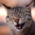 rtfmpls's avatar